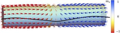 Generation of Magnon Orbital Angular Momentum by a Skyrmion-Textured Domain Wall in a Ferromagnetic Nanotube